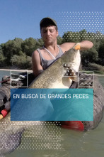 En busca de peces grandes