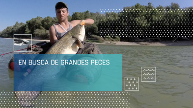 En busca de peces grandes