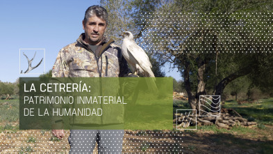 Imagen de La cetrería: patrimonio inmaterial de la humanidad (T1) - 2