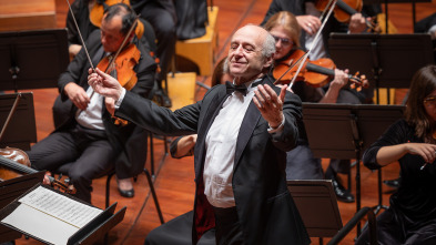 Imagen de Budapest Festival Orchestra, Iván Fischer, Nicolas Namoradze: Brahms - 2