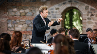 Imagen de Berliner Philharmoniker, Lisa Batiashvili, Daniel Harding - Brahms, Beethoven - 2