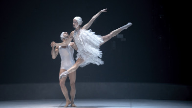 Imagen de El Lago - La Mov - Festival Le Temps d'aimer la danse Biarritz - 2