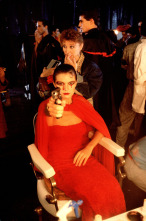 Imagen de Matador - 11