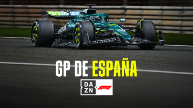 Imagen de Mundial F1 - GP de España (2025) - 6