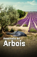 Imagen de Asesinato en Arboix - 1