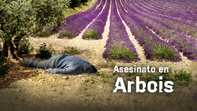 Imagen de Asesinato en Arboix - 2