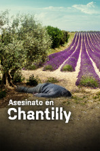 Imagen de Asesinato en Chantilly - 1