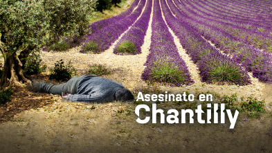 Imagen de Asesinato en Chantilly - 2