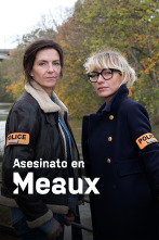 Imagen de Asesinato en Meaux - 1