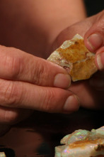 Imagen de Cazadores de... (T7): La escuela de piedras duras - 1