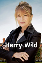 Imagen de Harry Wild (T1) - 3