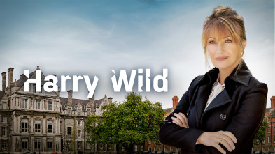 Imagen de Harry Wild (T1) - 4