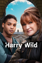 Imagen de Harry Wild (T2) - 3