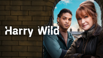 Imagen de Harry Wild (T2) - 4