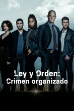Imagen de Ley y orden: Crimen organizado (T3) - 3