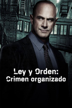 Imagen de Ley y Orden: Crimen organizado (T4) - 3