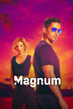 Imagen de Magnum (T4) - 1