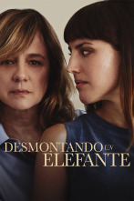 Imagen de Desmontando un elefante - 1