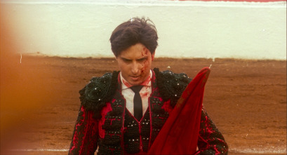 Imagen de Tardes de soledad - 6
