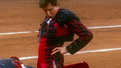 Imagen de Tardes de soledad - 11