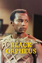 Imagen de Orfeo Negro - 3