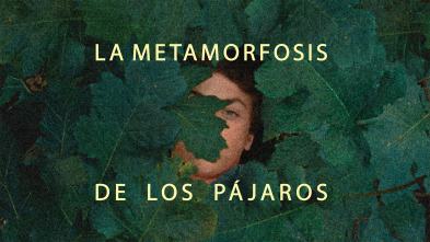 Imagen de La metamorfosis de los pájaros - 4