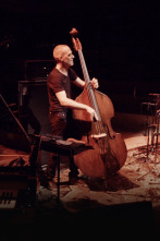 Imagen de Avishai Cohen Trio - Jazz à Vienne 2021 - 1