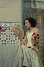 Imagen de Ocaña, retrato intermitente - 6