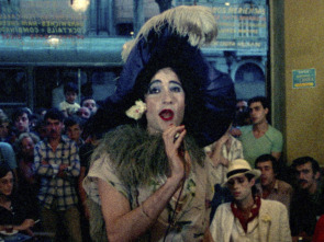 Imagen de Ocaña, retrato intermitente - 11