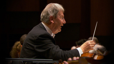 Imagen de John Eliot Gardiner - Monteverdi: Vespro della Beata Vergine - Versailles - 2