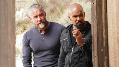 Imagen de S.W.A.T.:  Los... (T8): Ep.20 Perro del Diablo - 2