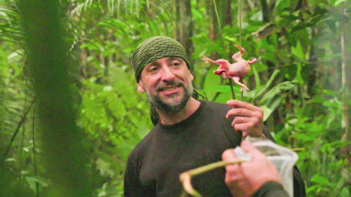 Imagen de Dúo de...: Amazonia - 2