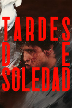 Imagen de Tardes de soledad - 1