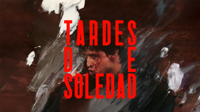 Imagen de Tardes de soledad - 2