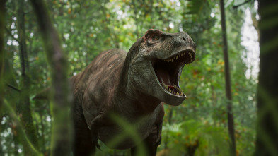 Imagen de Caminando entre...: La huérfana Triceratops - 8