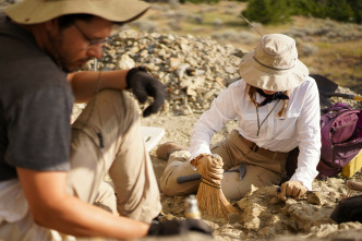 Imagen de Caminando entre...: La huérfana Triceratops - 13