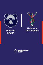Imagen de T. Regular: Bristol Bears - Harlequins - 1