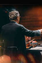 Imagen de Nielsen: Sinfonía n°. 6 - Danish National Symphony Orchestra Fabio Luisi - 3