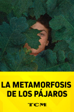 Imagen de La metamorfosis de los pájaros - 1