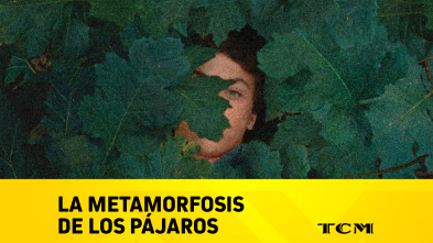 Imagen de La metamorfosis de los pájaros - 2