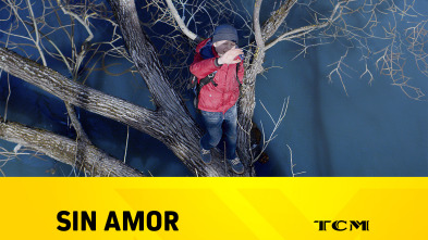 Imagen de Sin amor - 2