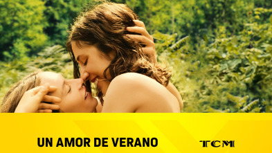 Imagen de Un amor de verano - 2