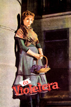 Imagen de La violetera - 3