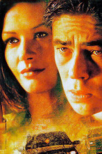 Imagen de Entrevistas TCM (T2): Steven Soderbergh y Traffic - 3