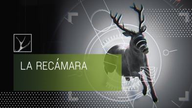 Imagen de La recámara (T1) - 4