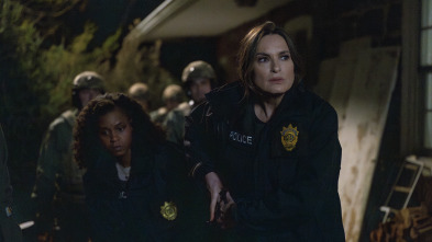 Imagen de Ley y Orden:... (T26): Ep.20  - 1