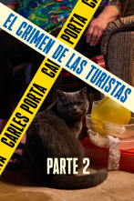 Imagen de Luz en la oscuridad: El crimen de las turistas II - 1