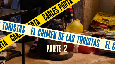 Imagen de Luz en la oscuridad: El crimen de las turistas II - 2