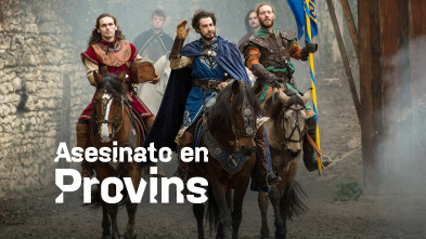 Imagen de La maldición de Provins - 2