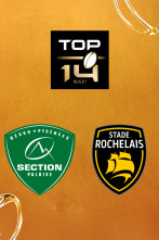 Imagen de Jornada 26: Section Paloise - Stade Rochelais - 1